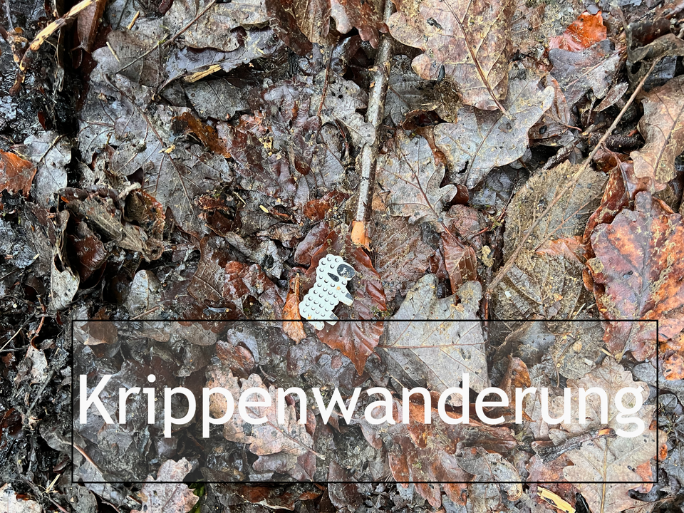 Unerwartete Krippenwanderung