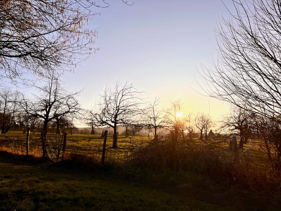 Samstagsplausch oder: die erste Frühlingswoche